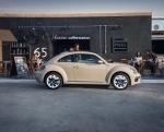 Volkswagen Beetle Final Edition 2019 года (MX)